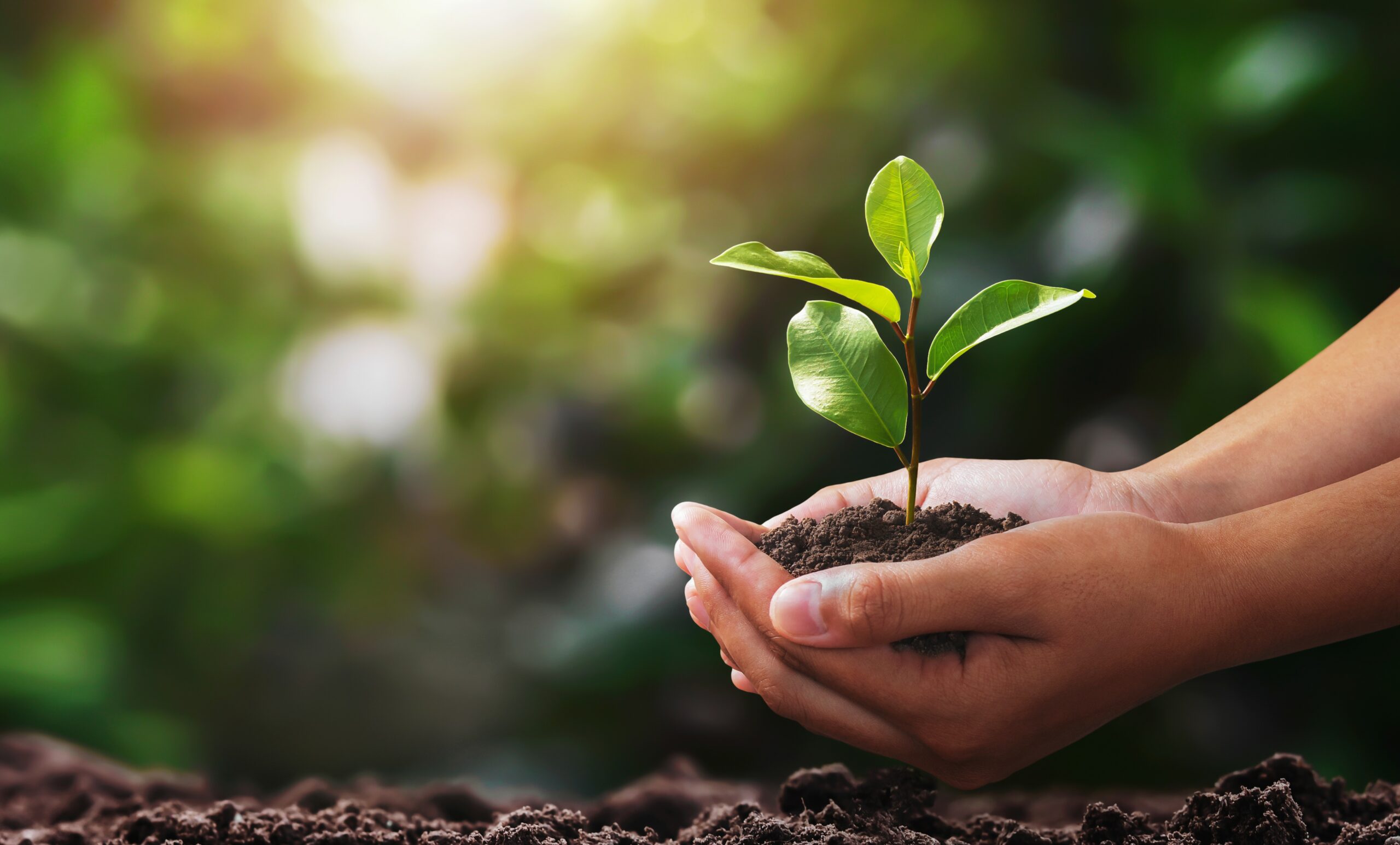 Alle_Nachhaltigkeit_teaser